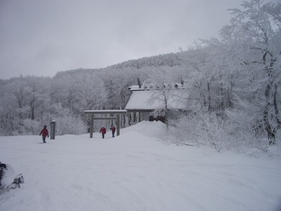 IMGP3844.jpg