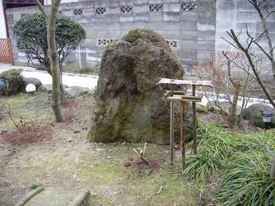 IMGP4190.jpg
